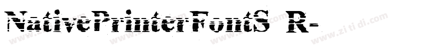 NativePrinterFontS R字体转换